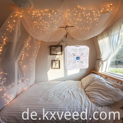 Dehumifikator/Feuchtigkeitsabsorber/erneuerbarer Mini -Entfeuchter